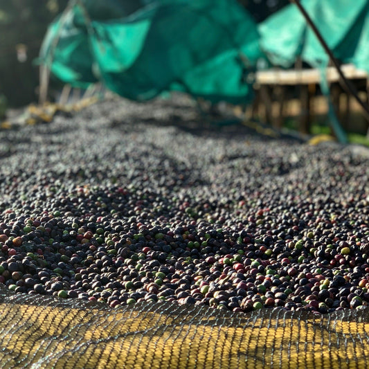 Approaching Sustainability