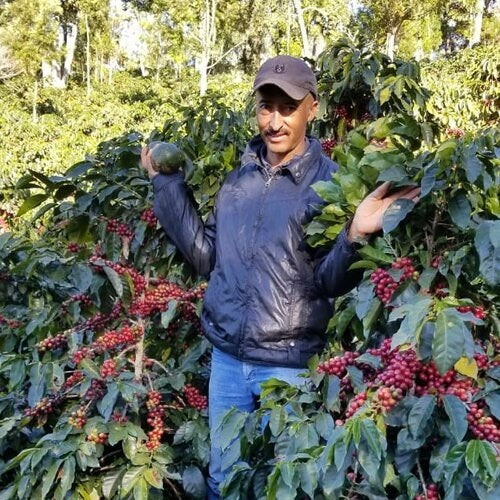 Coffee producer Fredy Orantes in Guatemala