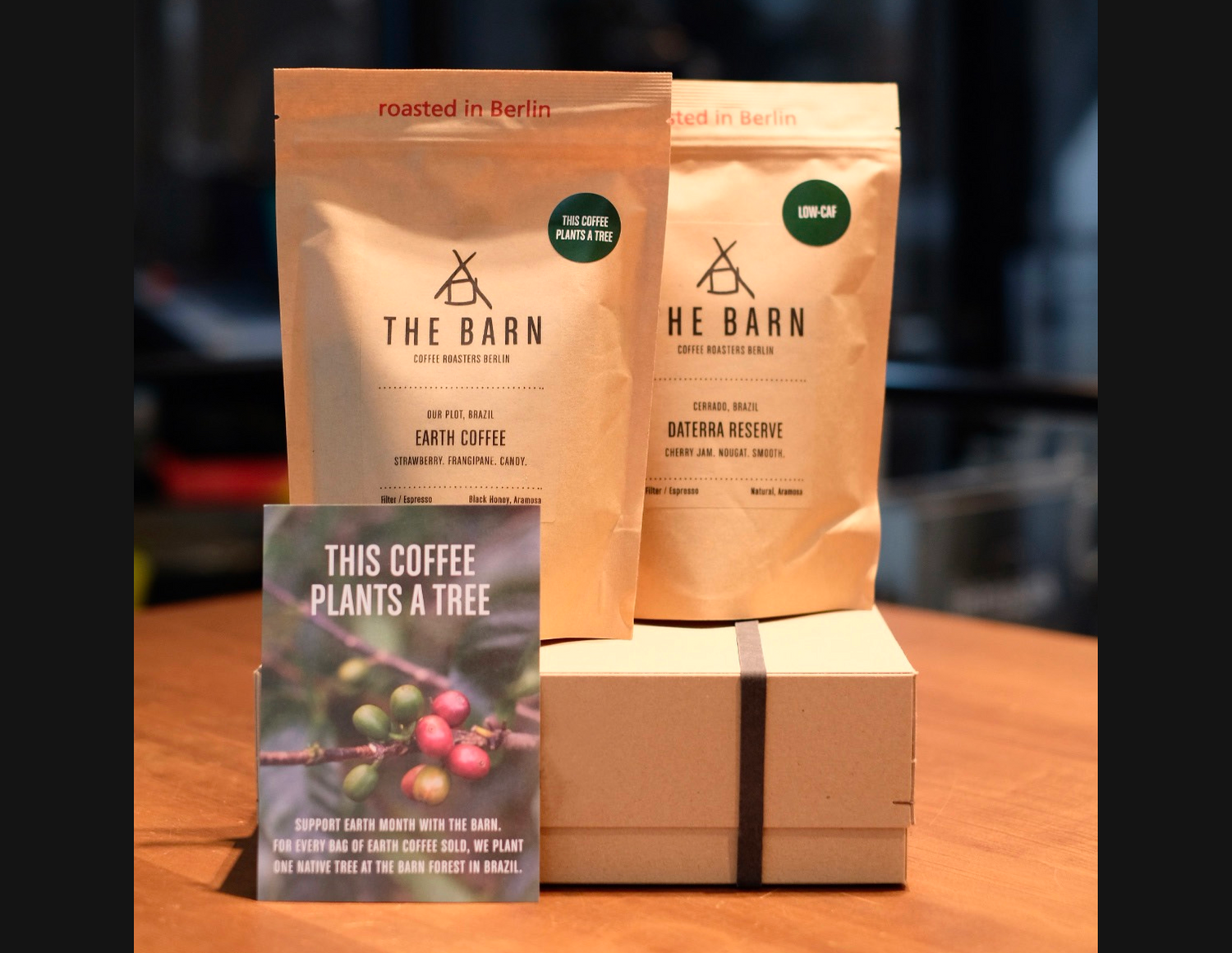 Earth Month Twin Box with two bags of coffee