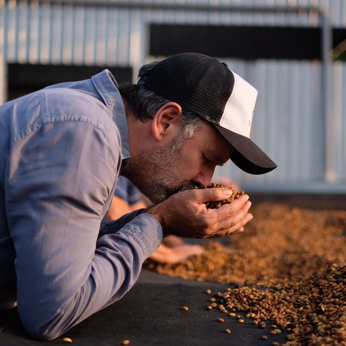 HIMALAYA ANNIVERSARY - THE BARN Coffee Roasters Berlin