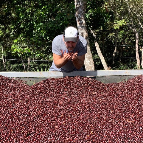 Ralf and coffee cherries