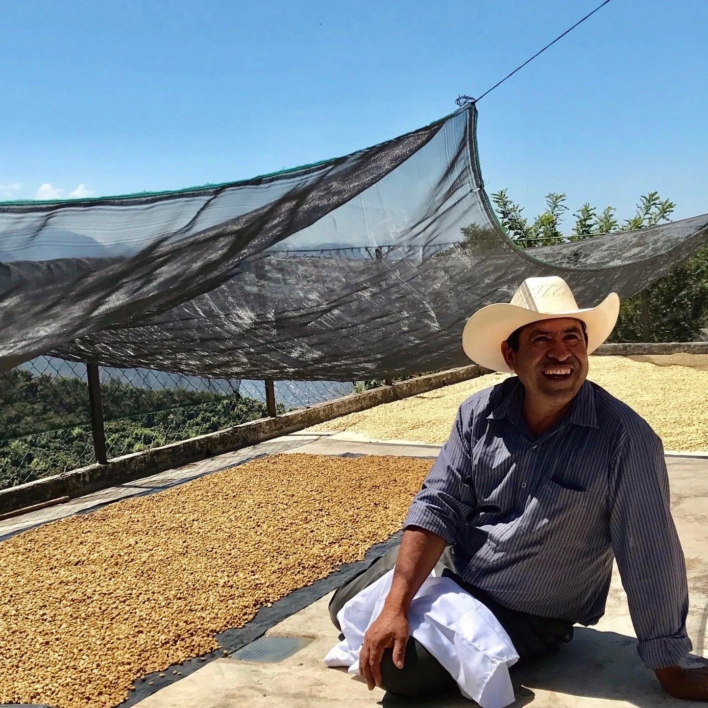 Francisco Morales In Guatemala