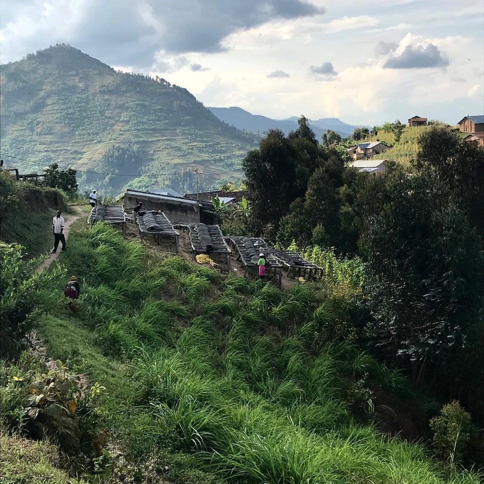 GITWE (4641774141520)