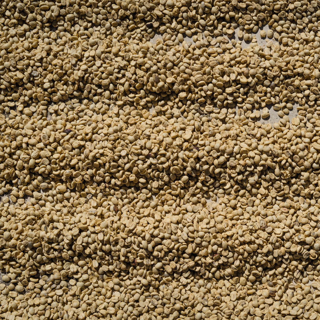 EL DURAZNO (4778609868880)