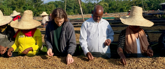 Origin Update Ethiopia: Visiting our Farm Partners