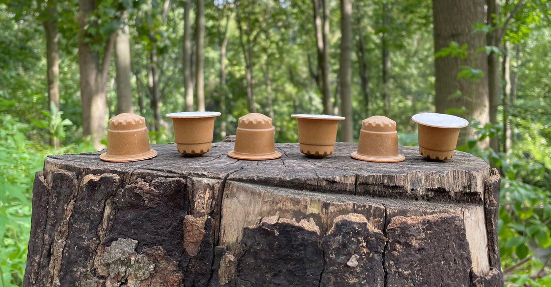 The Barn Coffee Capsules