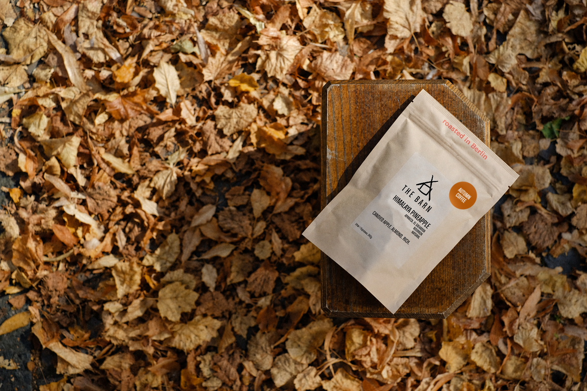 Autumn Warehouse Clearance