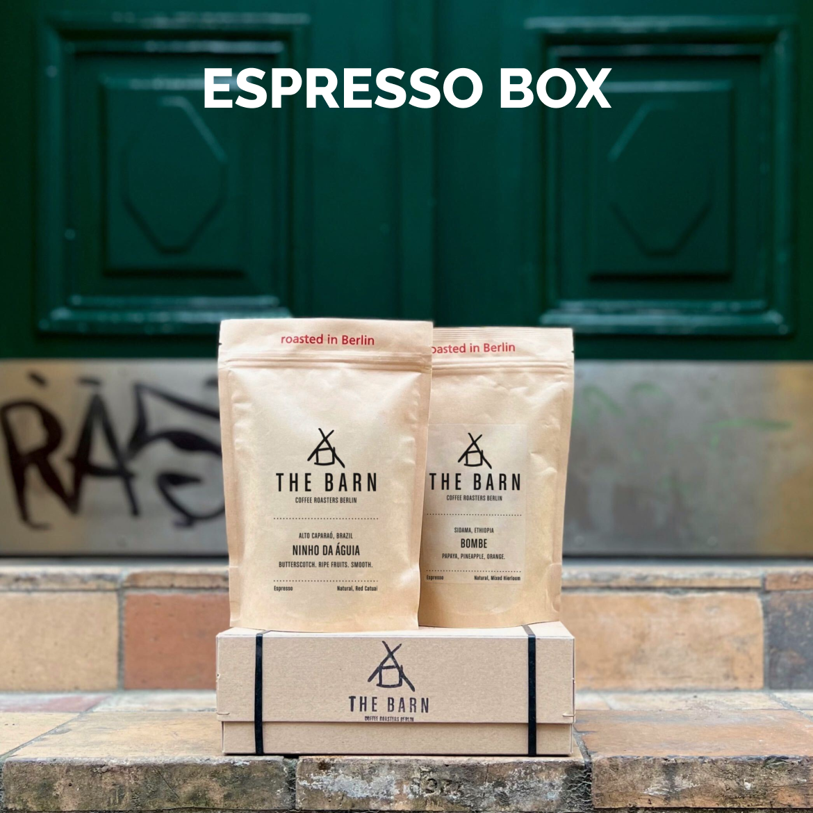 12 months curated subscription - Two 250g bags of freshly roasted espresso coffee beans: Ninho da Aguia and Bombe on a packaging box from THE BARN Coffee Roasters
