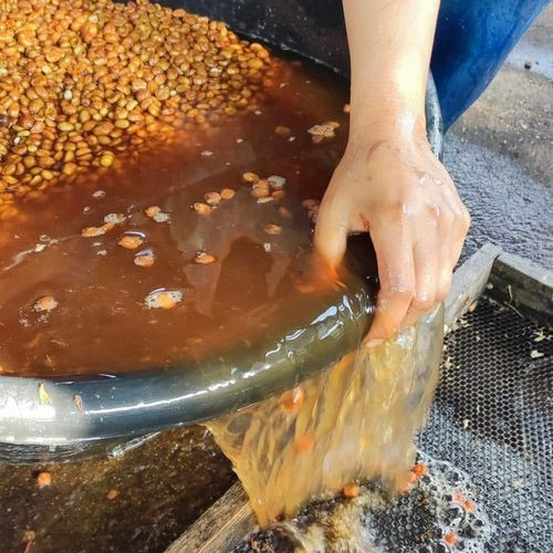 Processing coffee beans at Doi Saket