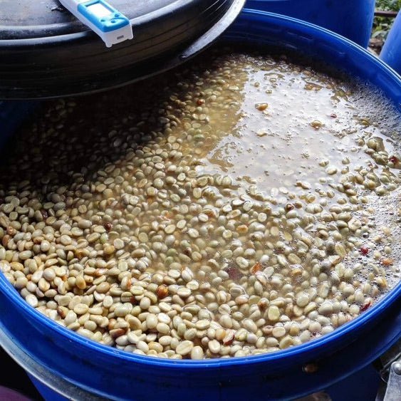 Anaerobic fermentation tanks at Doi Saket