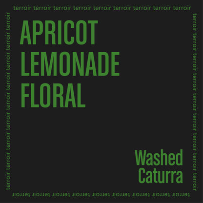 Product cover with green text displaying 'Apricot Lemonade Floral' and 'Washed Caturra'.
