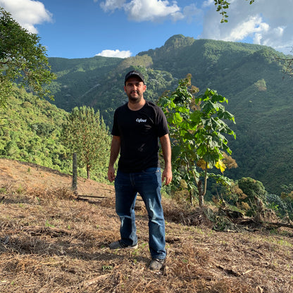 JARDINES DEL EDEN PAPAYO