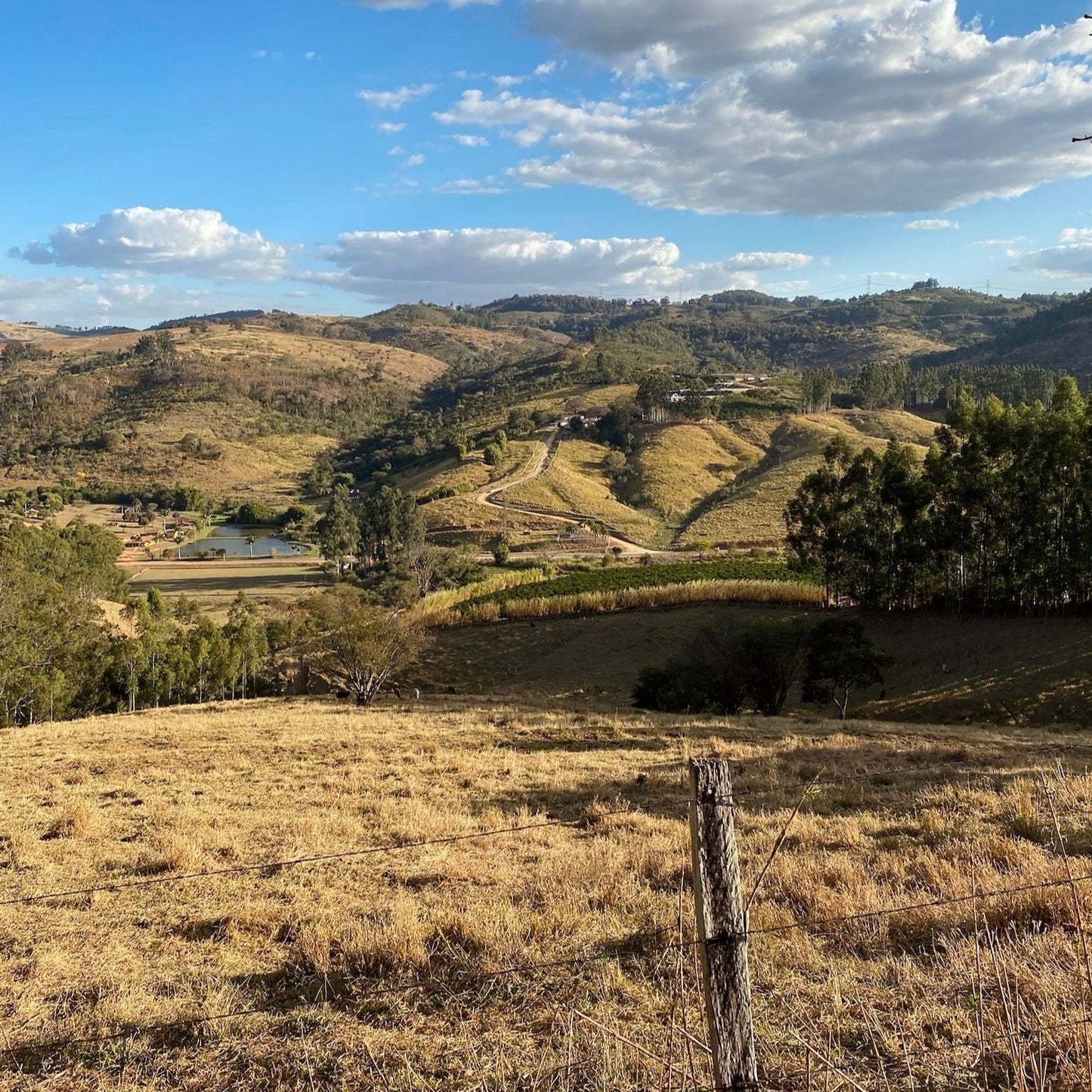 FAZENDA DA MATA