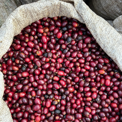 HIMALAYA ANNIVERSARY - THE BARN Coffee Roasters Berlin