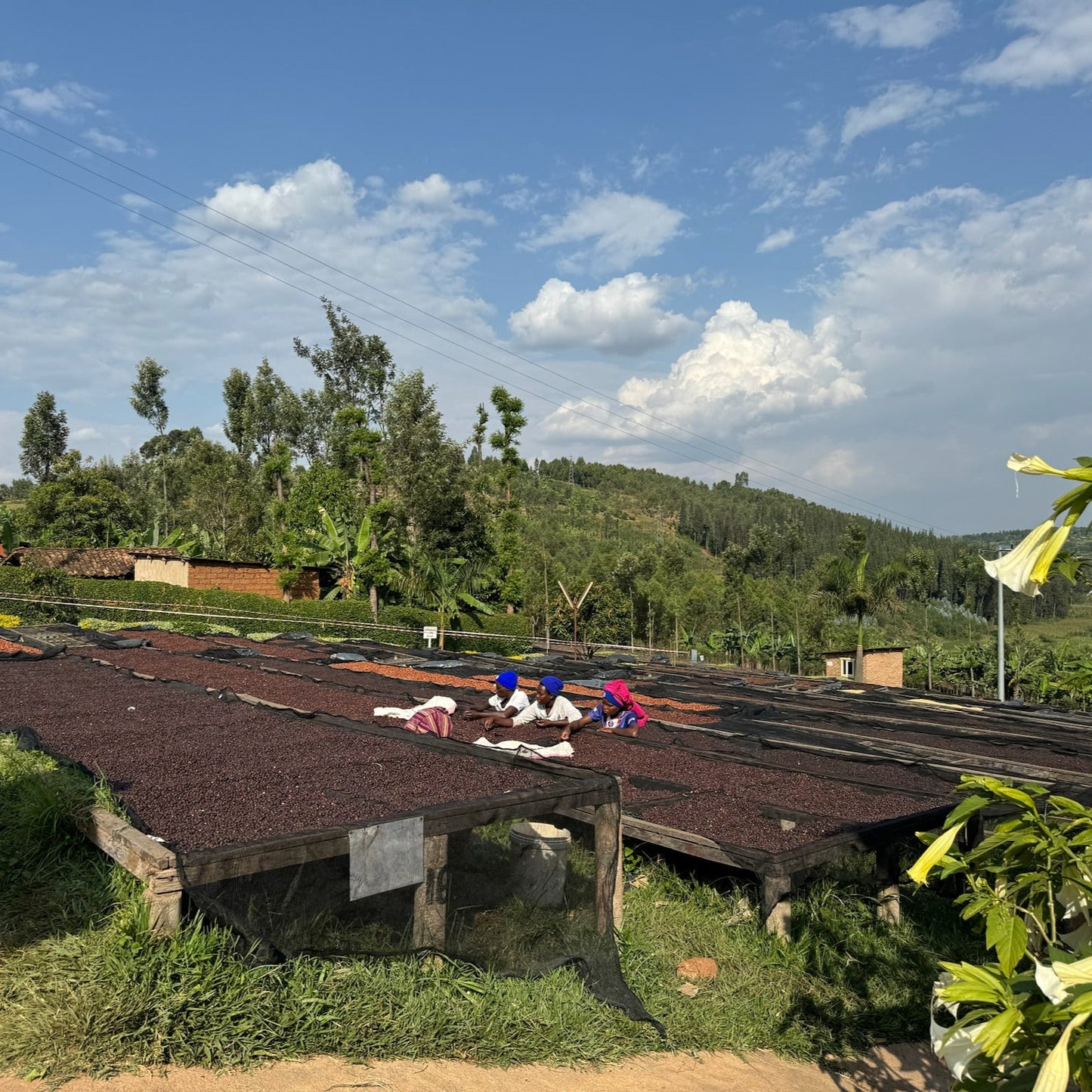 HUYE MOUNTAIN NATURAL