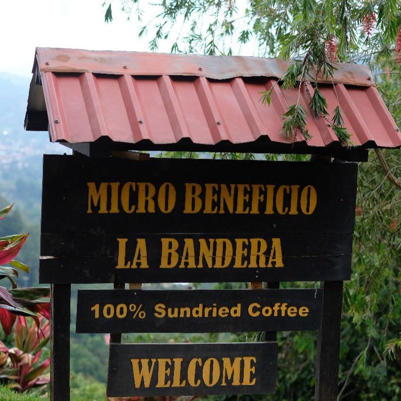 LA BANDERA FORESTAL