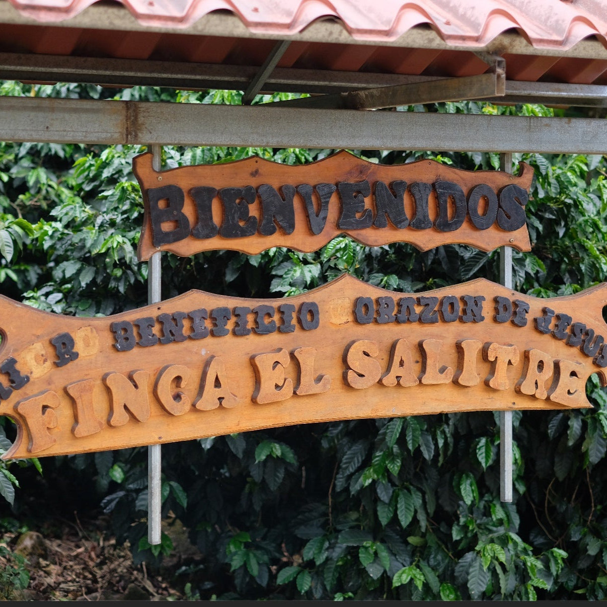 EL SALITRE