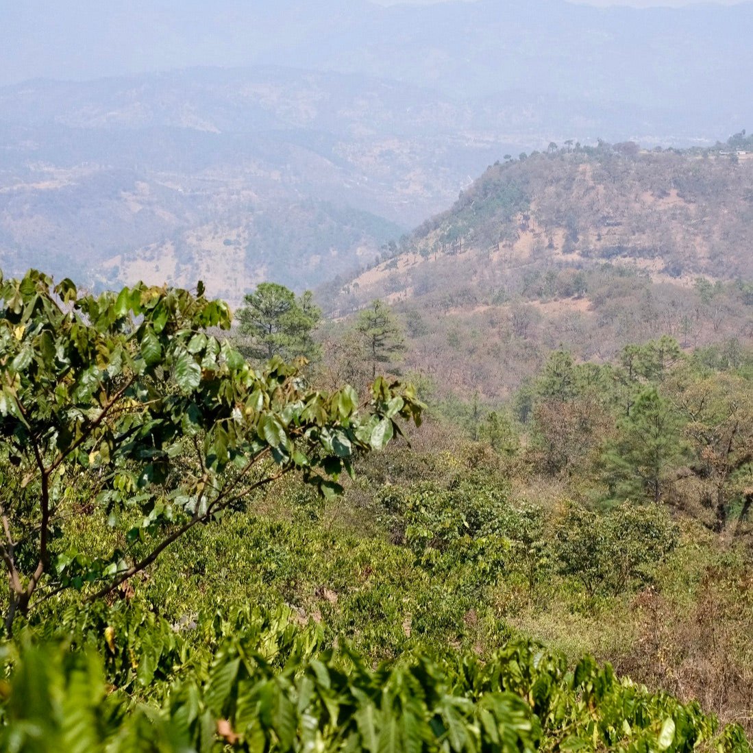 The landscape around La Colina