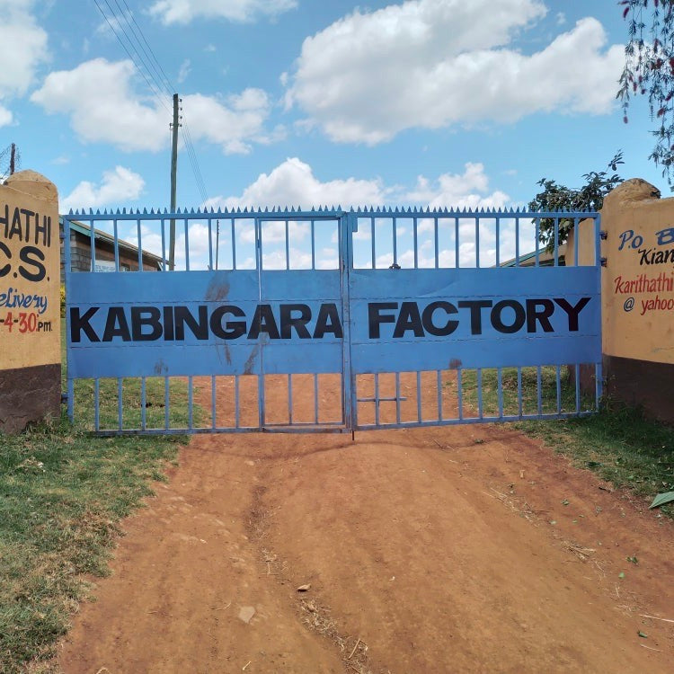 The gate at the Kabingara washing station