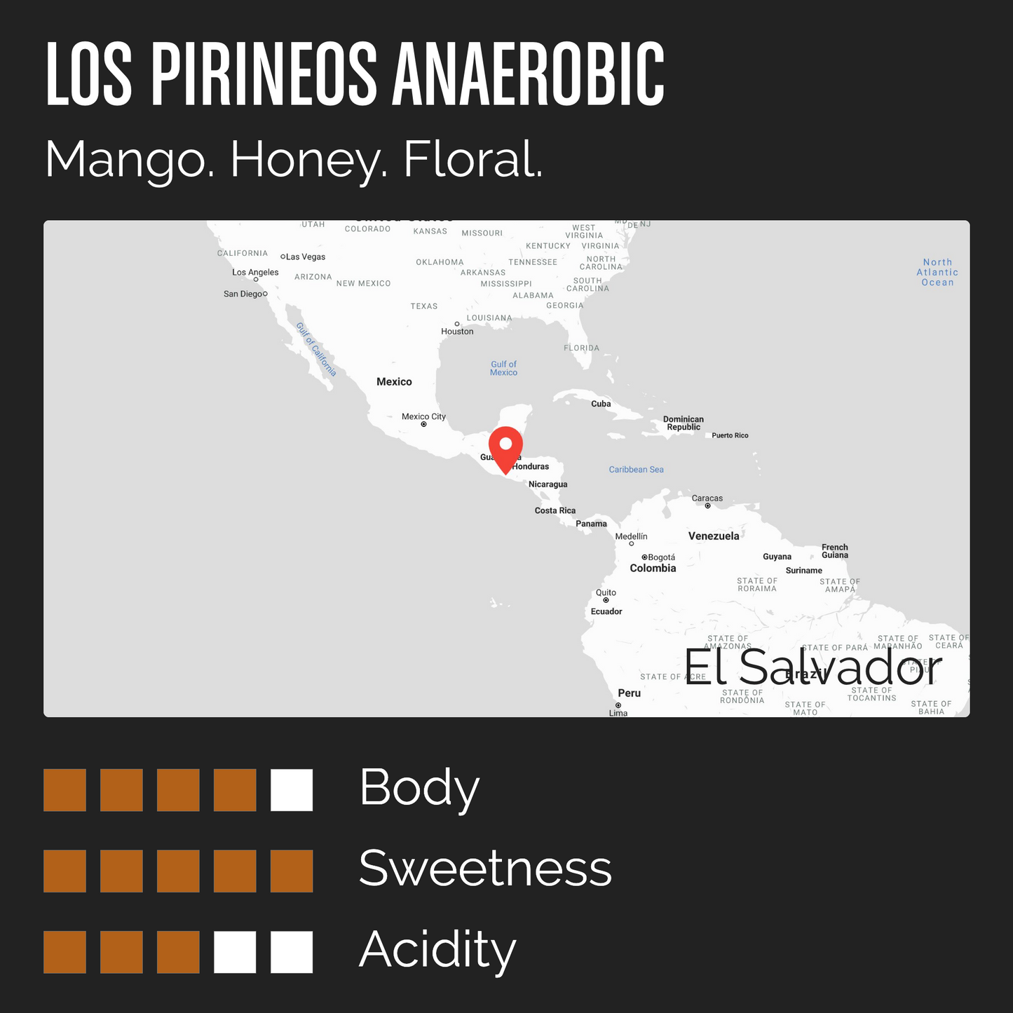 Los Pirineos Anaerobic info card with tasting notes: mango, honey, floral.