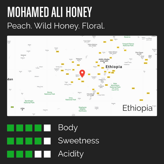 MOHAMED ALI HONEY