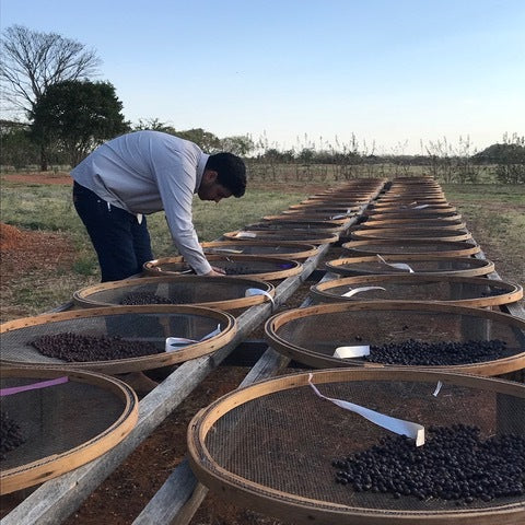 OUR PLOT DATERRA