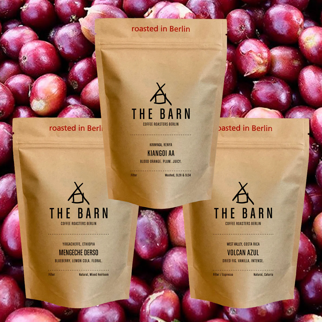 THE BARN Coffee Roasters - Freshly Roasted Coffee to your door