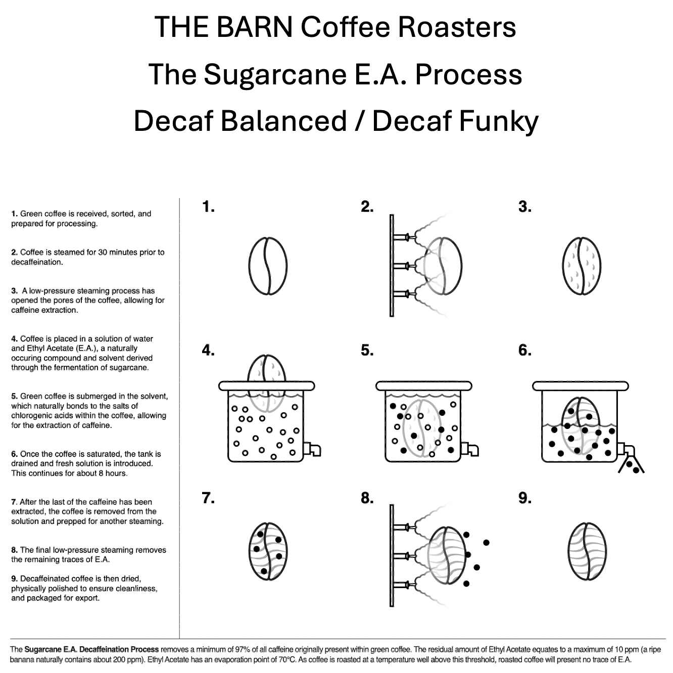 DECAF BALANCED