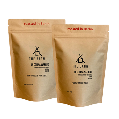 GUATEMALA TWIN BOX