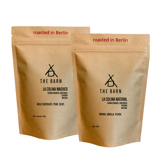 GUATEMALA TWIN BOX