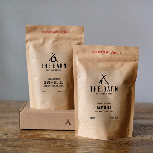 COSTA RICA TWIN BOX