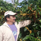Coffee farmer Fernando Cordero