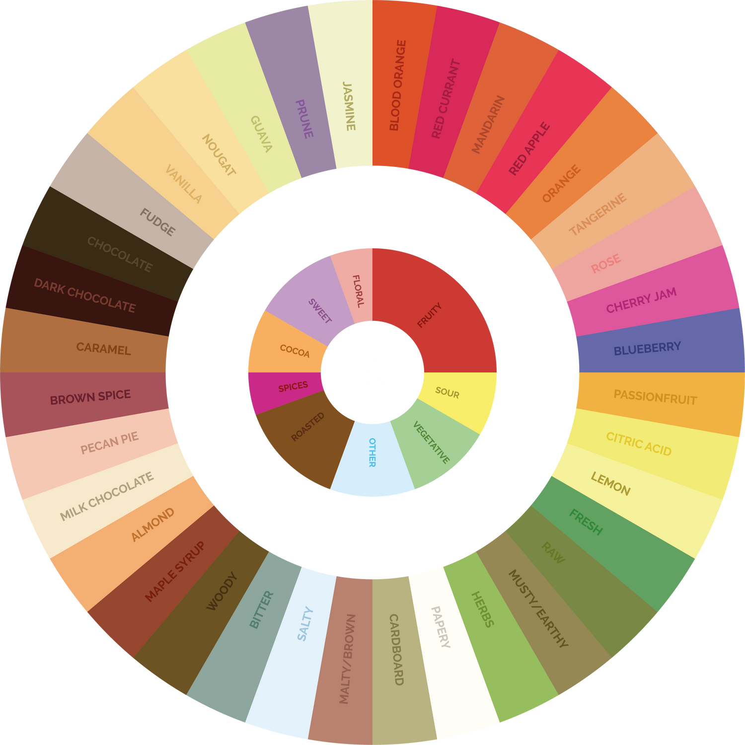 Colourful graphic explaining the different types of coffees and flavours