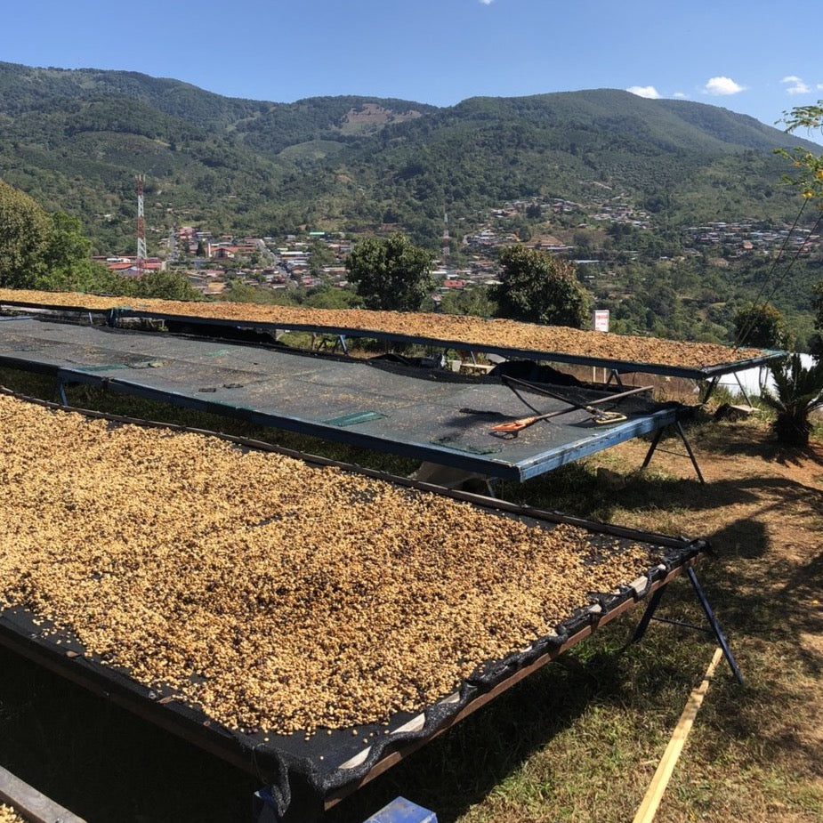 Drying beds at Juanachute