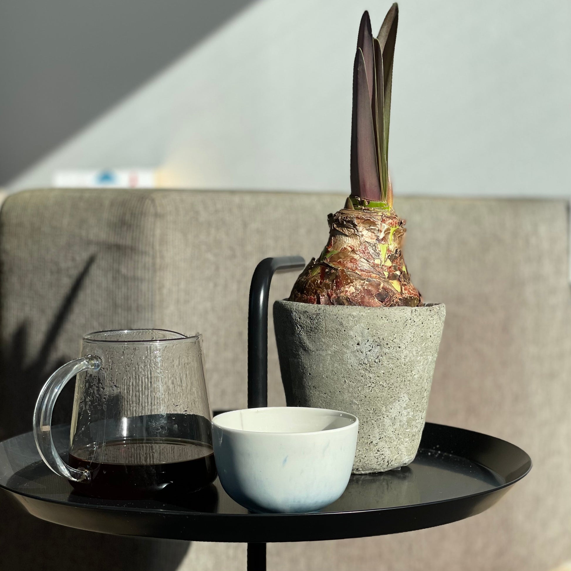 A glass server of half filled with coffee, placed next to a ceramic bowl and a house plant of a metal black table