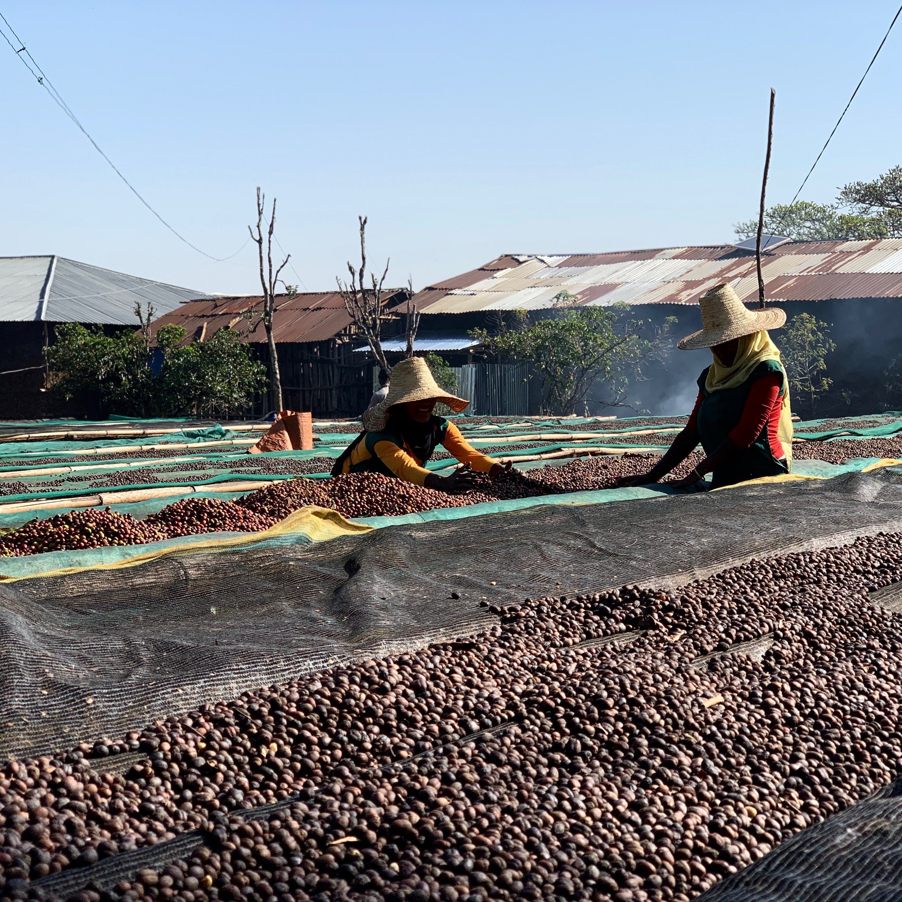 MOHAMED ALI (4667287699536)