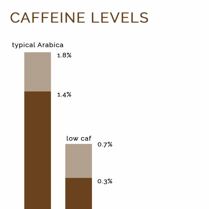 Eine Grafik, die den Unterschied im Koffeingehalt einer typischen Arabica-Bohne (1,8% - 1,4%) und einer Low-Caf-Bohne (0,7% -0,3%) zeigt